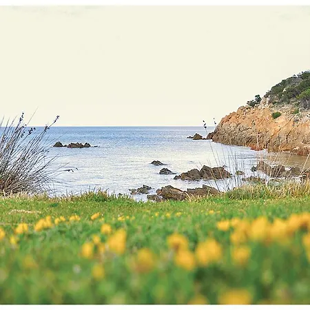 Apartment Cala Granu Bilo